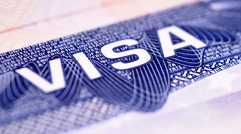 Professional immigration consultancy and visa processing services